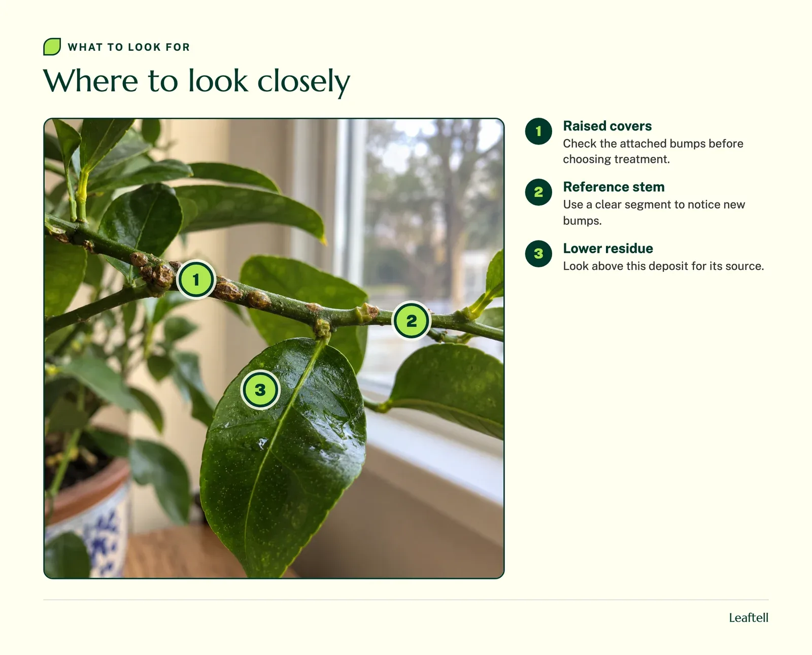 Numbered inspection points on the plant and its surroundings