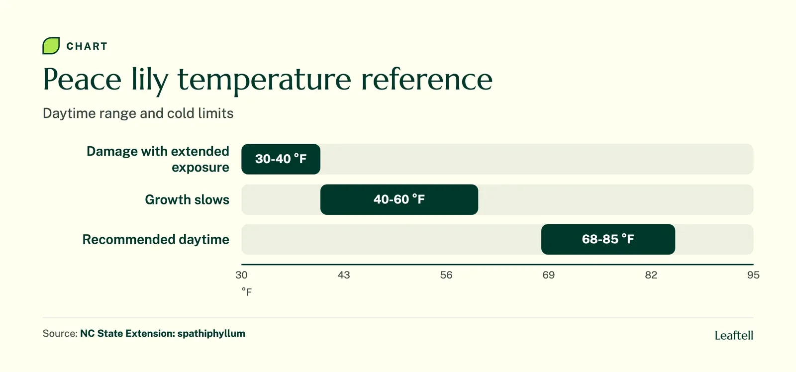 Range chart of peace lily temperatures: damage below 40 degrees Fahrenheit, slowed growth 40 to 60, recommended daytime 68 to 85