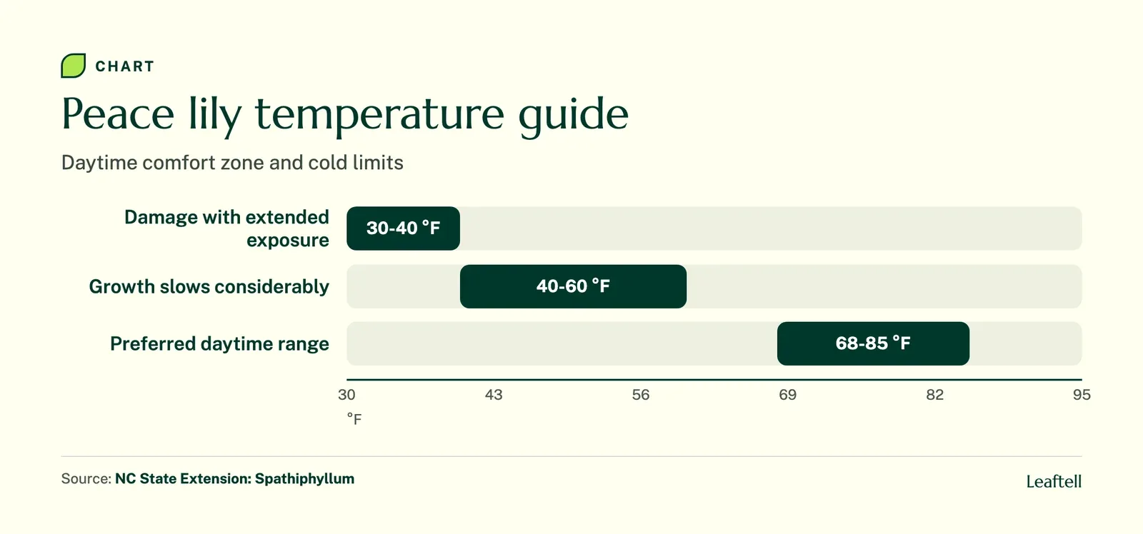 Range chart of peace lily temperatures: damage risk below 40 degrees F, slowed growth from 40 to 60, preferred daytime 68 to 85