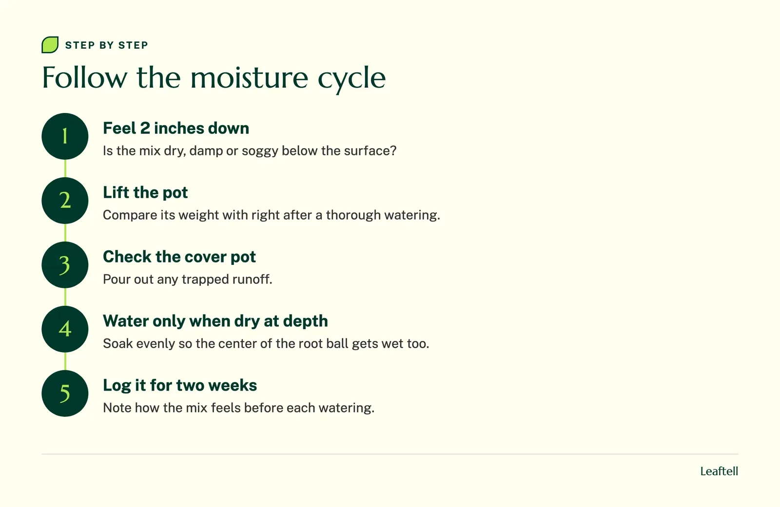 Step diagram: Follow the moisture cycle. Shows Feel 2 inches down, Lift the pot, Check the cover pot, Water only when dry at depth, Log it for two weeks.