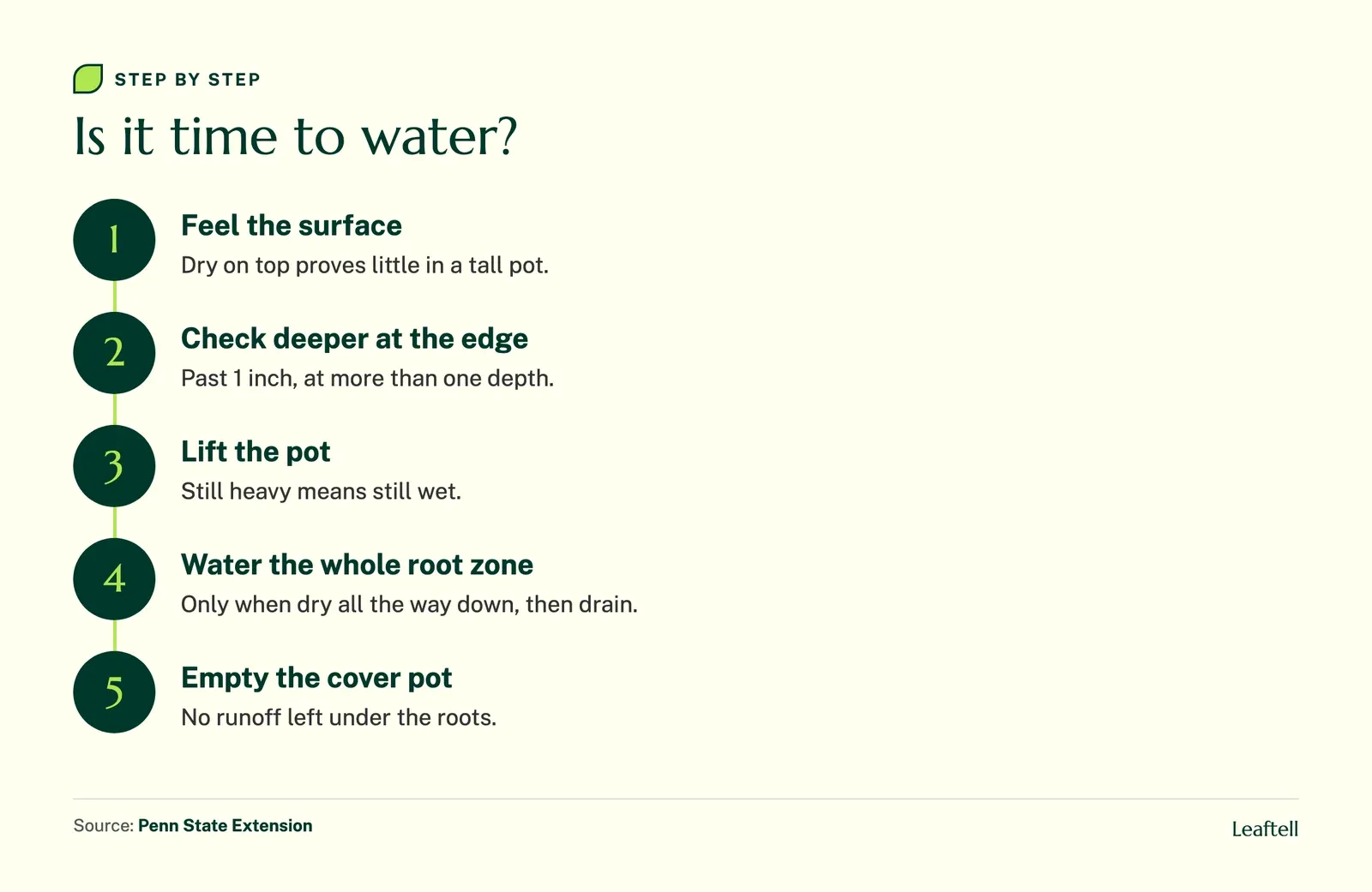 Step diagram: Is it time to water?. Shows Feel the surface, Check deeper at the edge, Lift the pot, Water the whole root zone, Empty the cover pot.