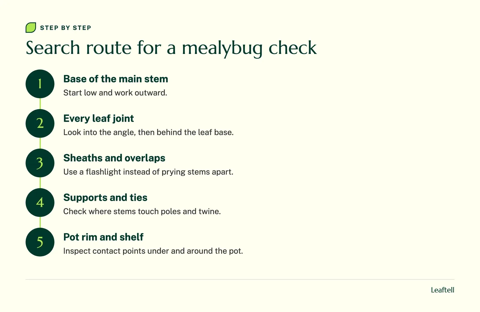 Step diagram: Search route for a mealybug check. Shows Base of the main stem, Every leaf joint, Sheaths and overlaps, Supports and ties, Pot rim and shelf.