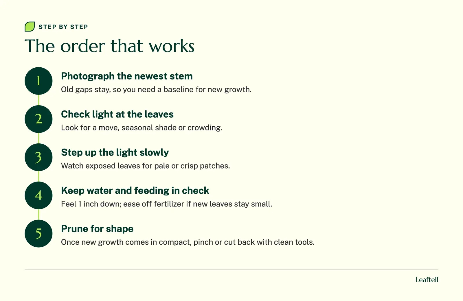 Step diagram: The order that works. Shows Photograph the newest stem, Check light at the leaves, Step up the light slowly, Keep water and feeding in check, Prune for shape.