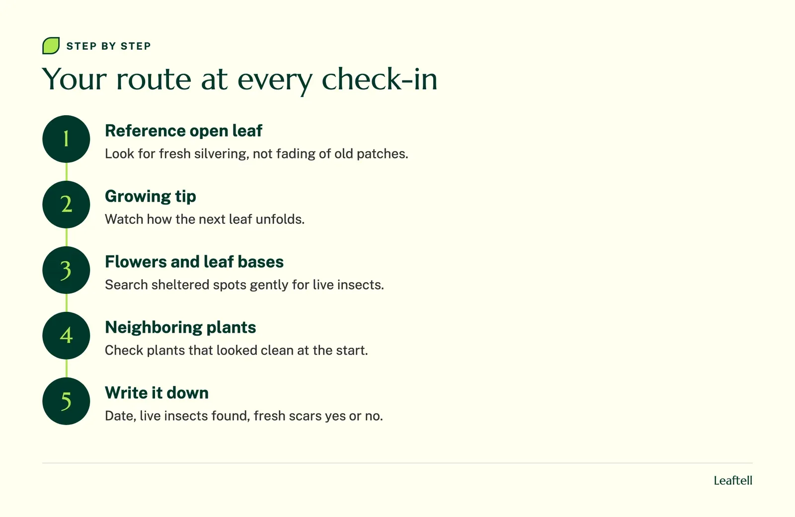 Step diagram: Your route at every check-in. Shows Reference open leaf, Growing tip, Flowers and leaf bases, Neighboring plants, Write it down.