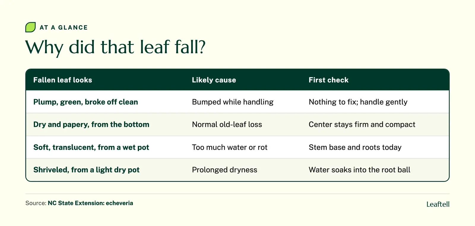 Table matching fallen succulent leaves to likely causes and first checks
