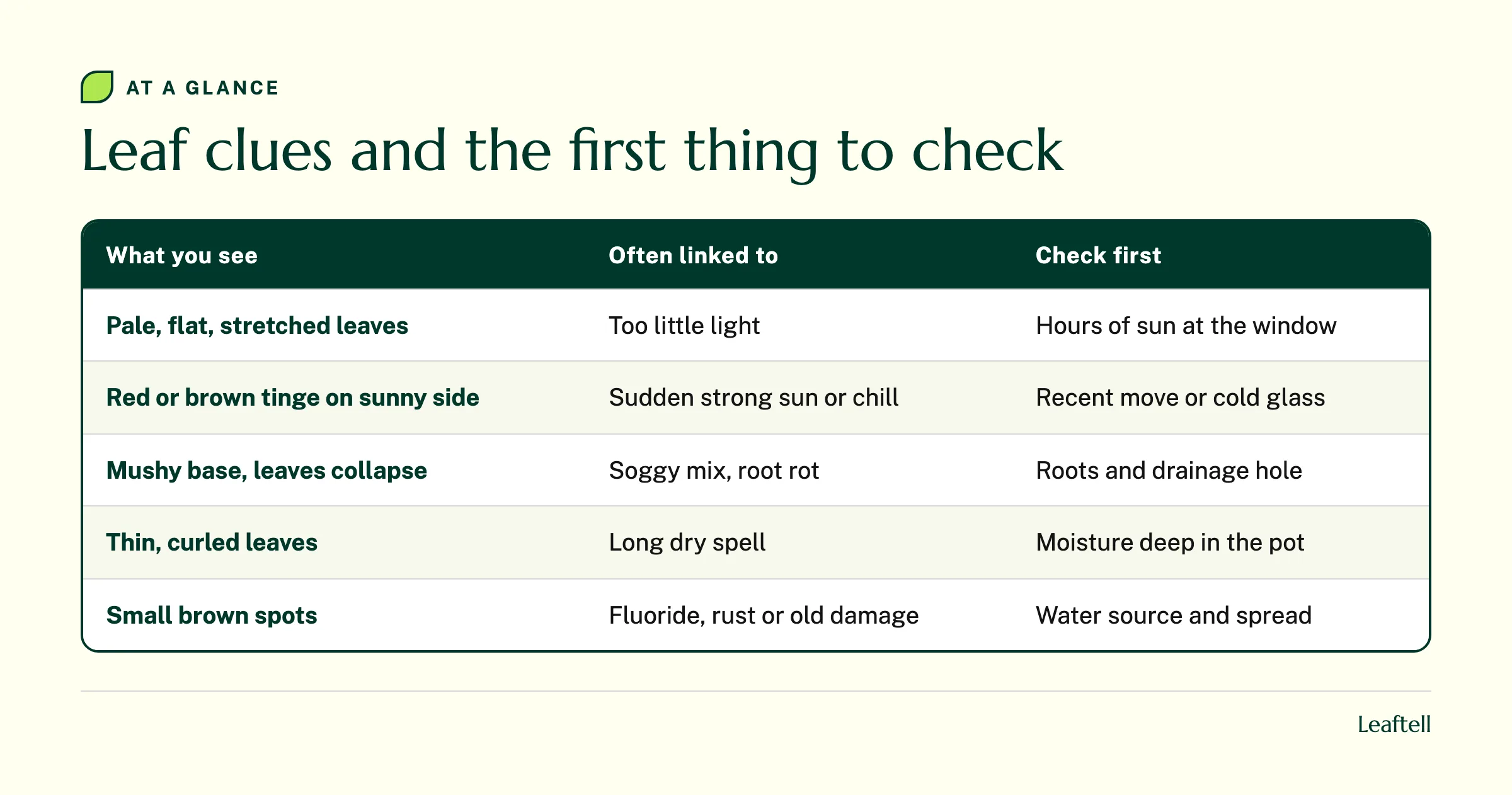 Table matching five aloe leaf clues to a likely cause and the first thing to check