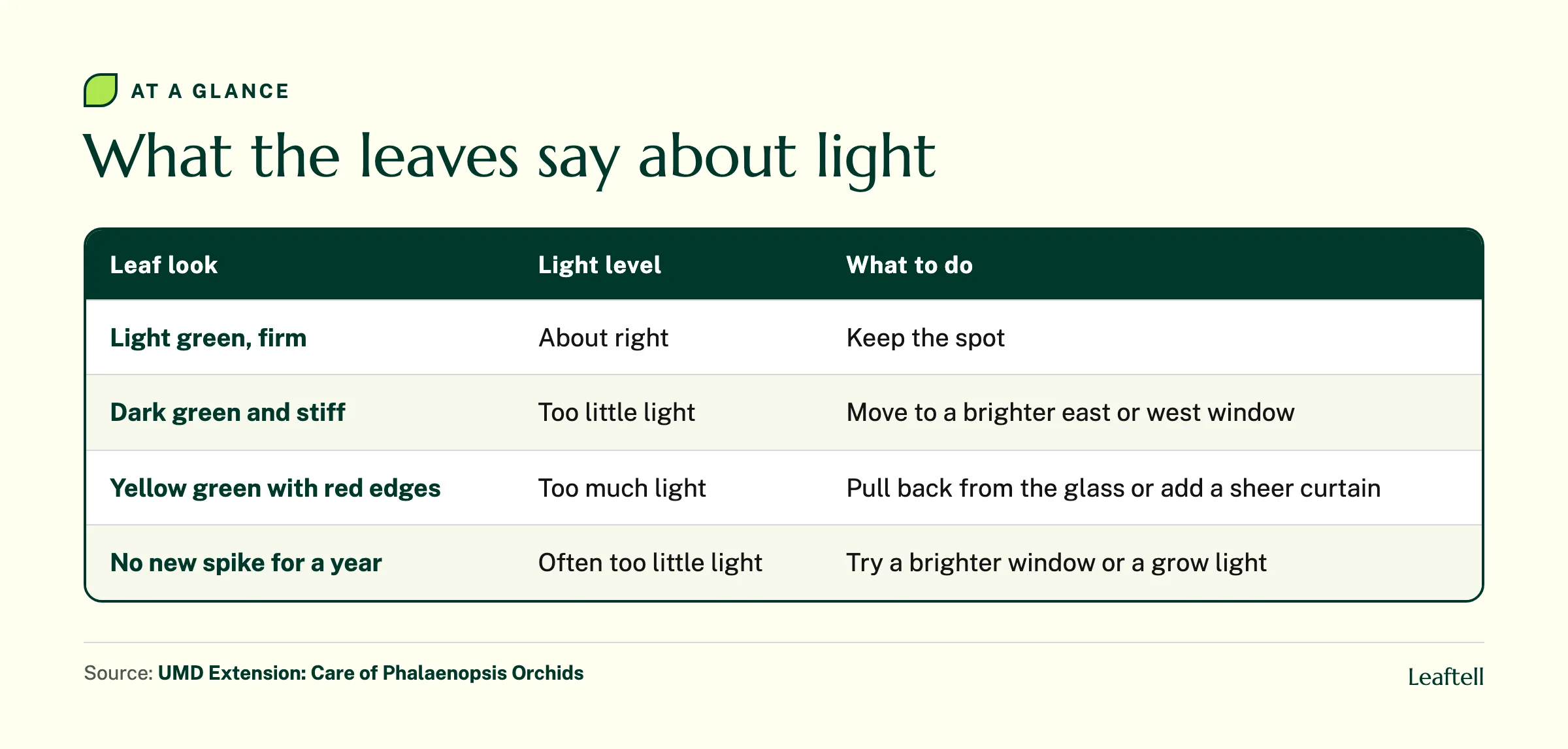 Table matching moth orchid leaf color to light level and what to do
