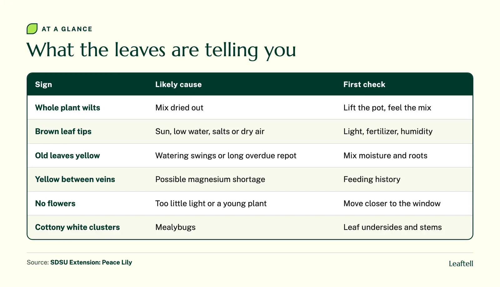 Table matching peace lily leaf and flower signs to likely causes and the first thing to check