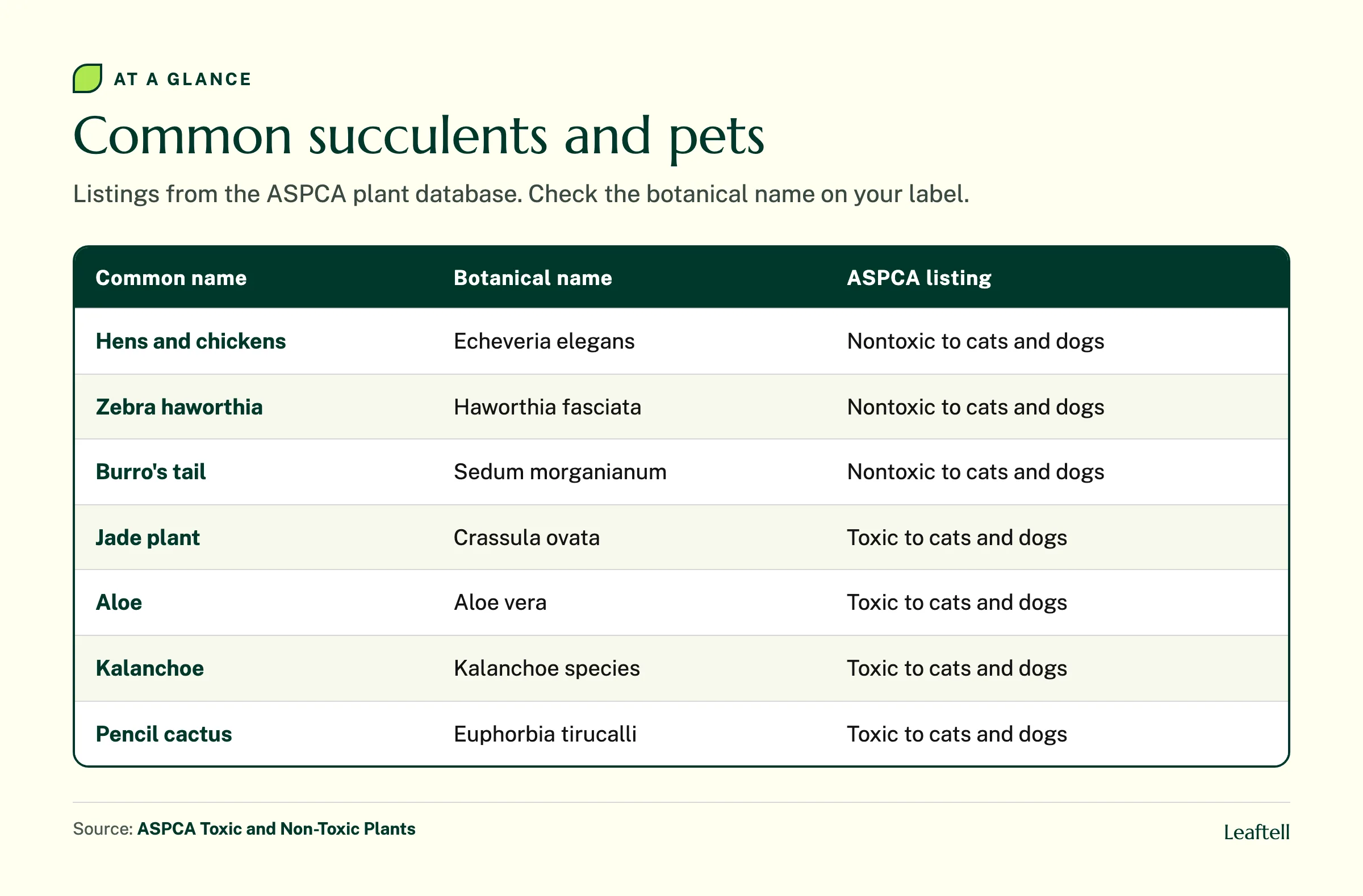 Table of seven common succulents with botanical names and their ASPCA toxicity listing for cats and dogs