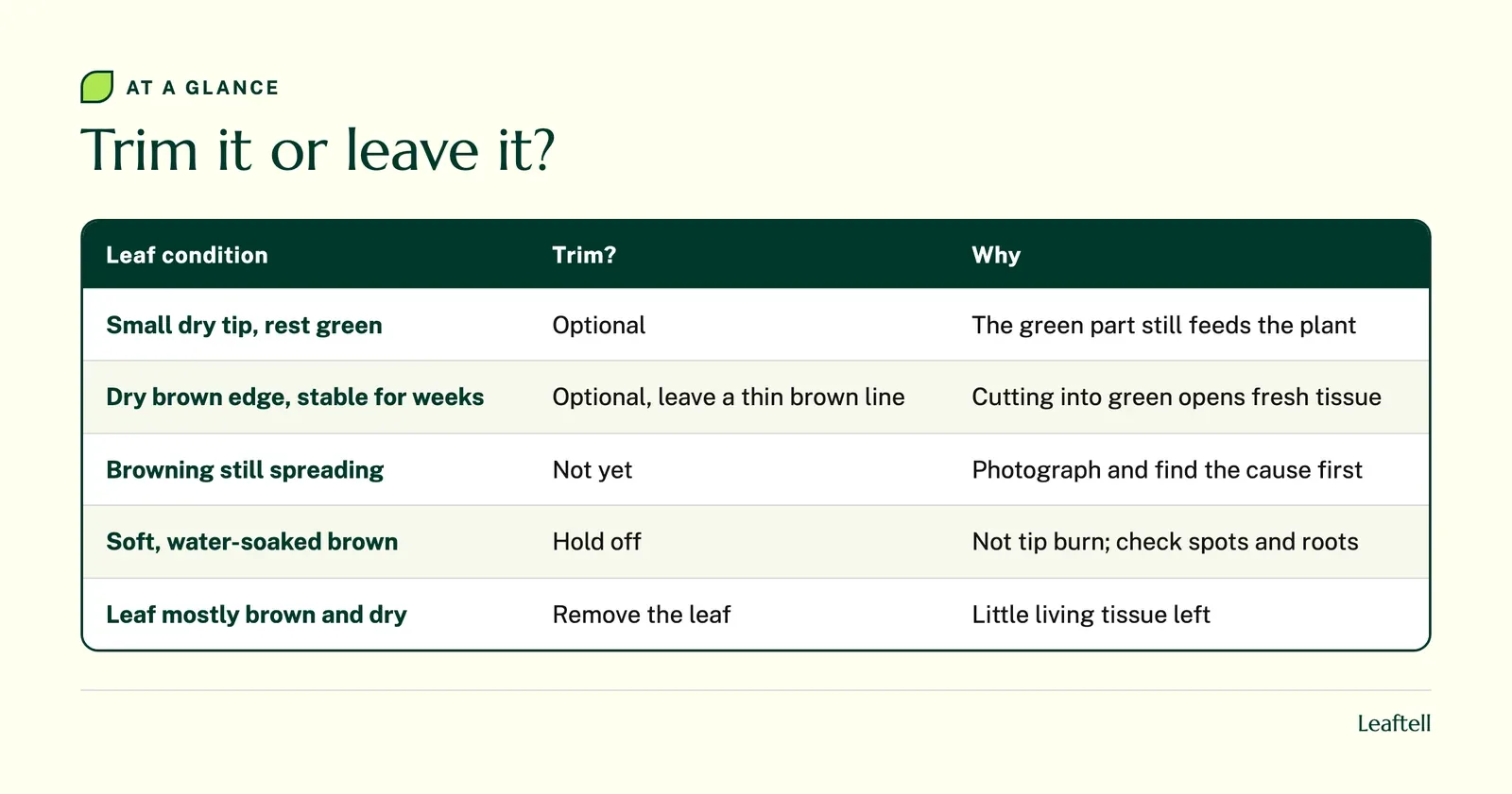 Table: Trim it or leave it?. Shows Leaf condition, Trim?, Why, Small dry tip, rest green, Optional, The green part still feeds the plant, Dry brown edge, stable for weeks.