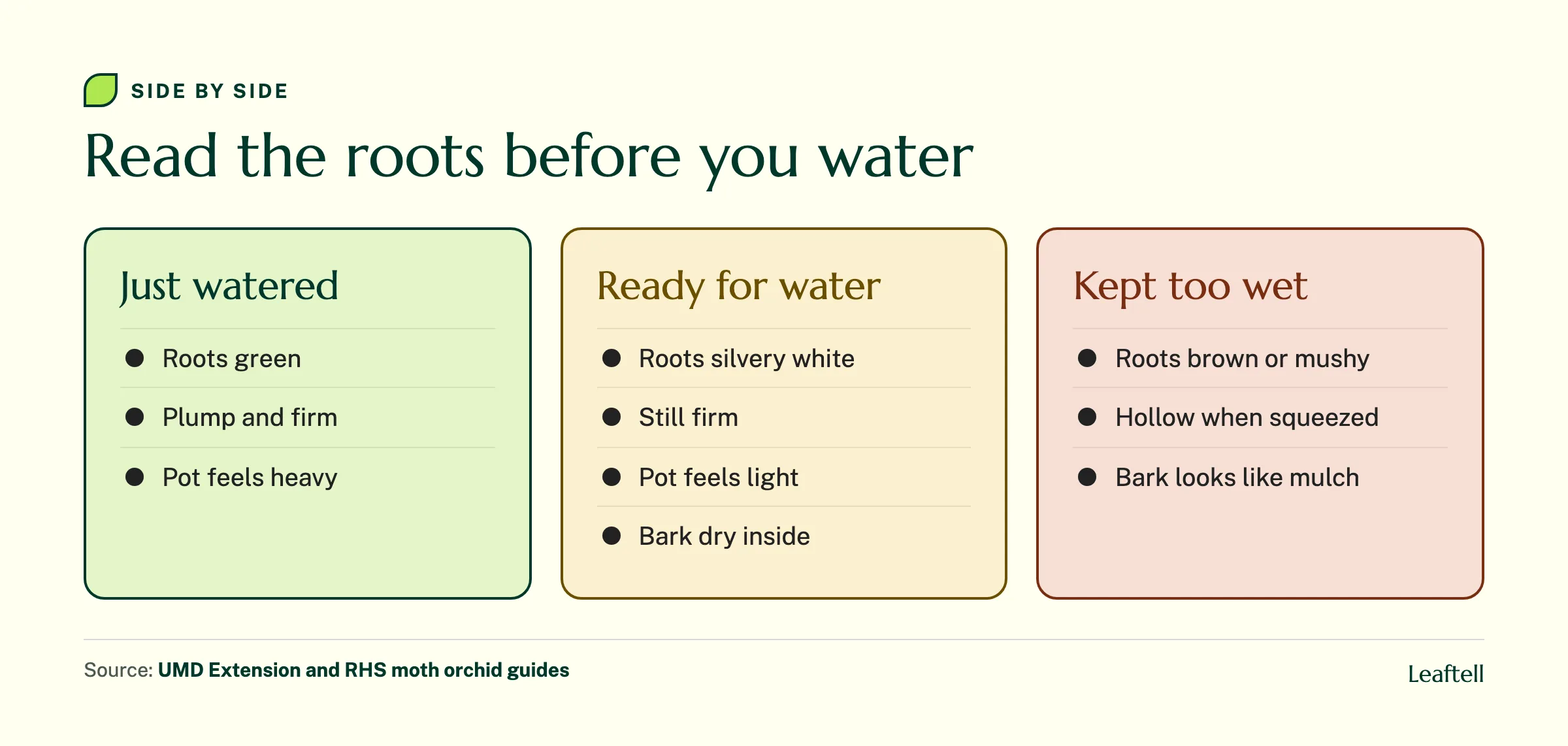 Three column comparison of watered roots, roots ready for water and roots kept too wet