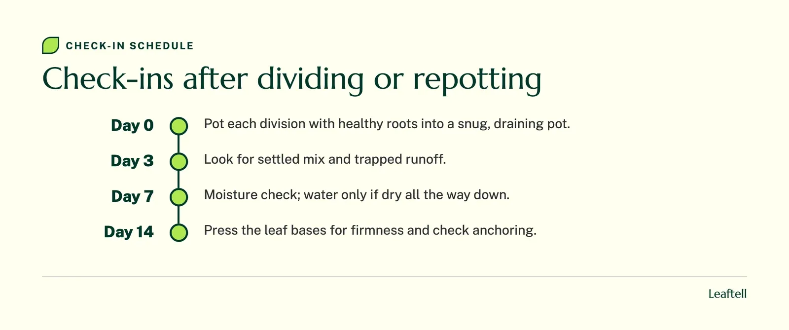 Timeline: Check-ins after dividing or repotting. Shows Day 0, Day 3, Day 7, Day 14.
