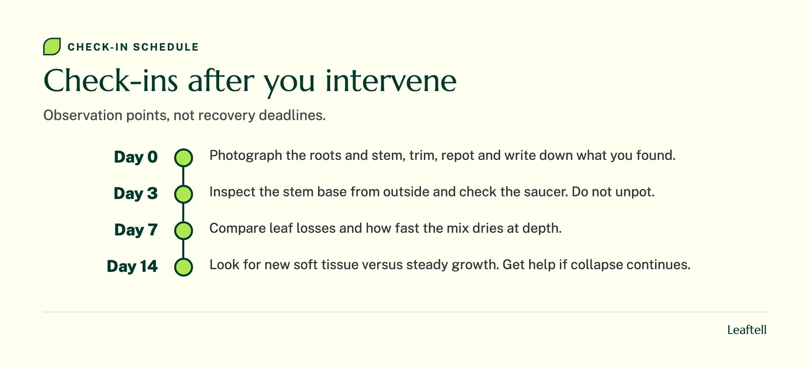 Timeline: Check-ins after you intervene. Shows Day 0, Day 3, Day 7, Day 14.