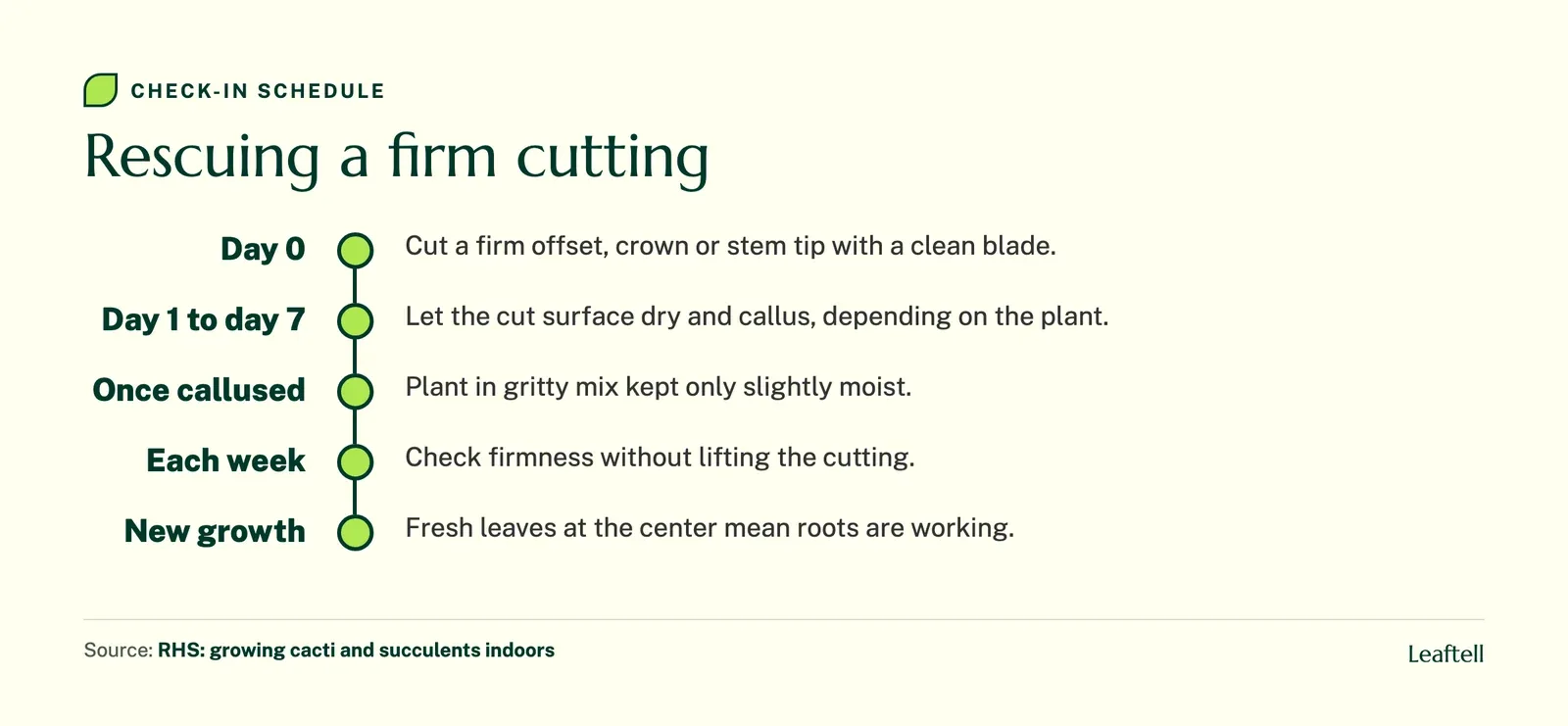 Timeline for a succulent cutting from cut to callus to planting and check-ins