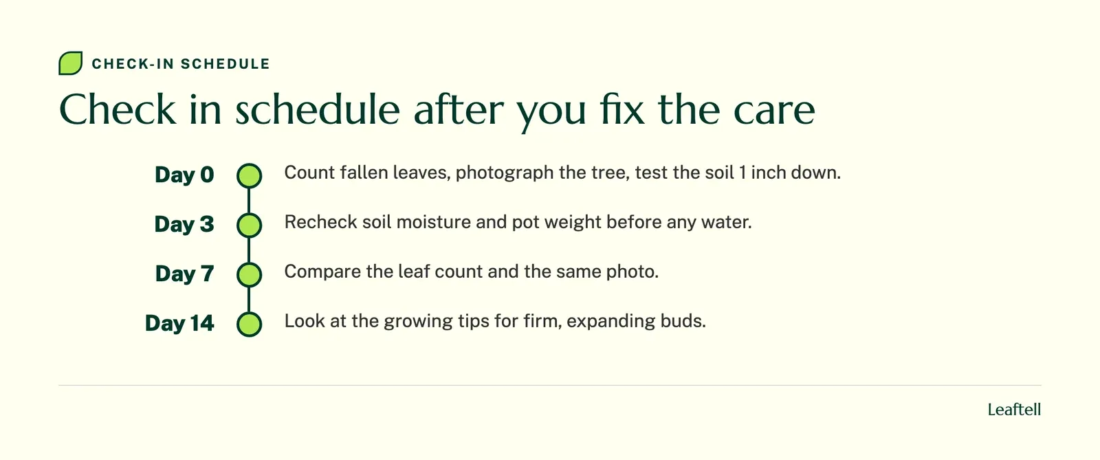 Timeline of check ins at day 0, day 3, day 7 and day 14 for a fiddle leaf fig dropping leaves