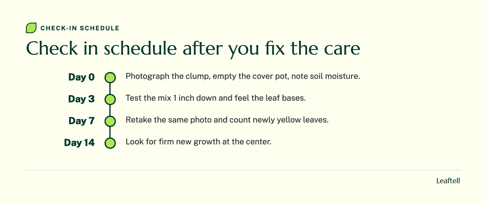 Timeline of check ins at day 0, day 3, day 7 and day 14 for a yellowing peace lily