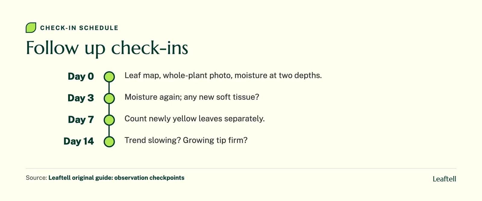 Timeline of check-ins on day 0, 3, 7 and 14 for a monstera with yellow leaves