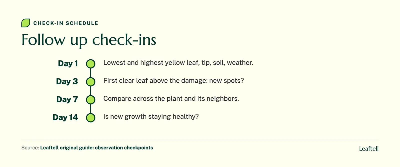 Timeline of check-ins on day 1, 3, 7 and 14 for a tomato with yellow leaves