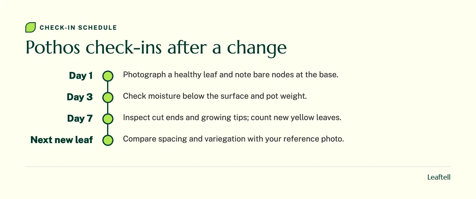 Timeline: Pothos check-ins after a change. Shows Day 1, Day 3, Day 7, Next new leaf.