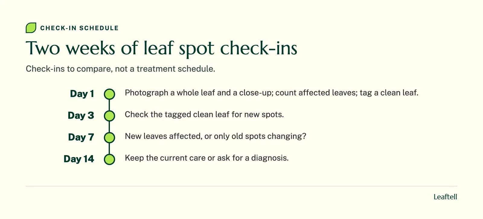 Timeline, Two weeks of leaf spot check-ins: Day 1, Day 3, Day 7, Day 14